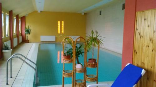 Piscina hotelului de wellness Balaton